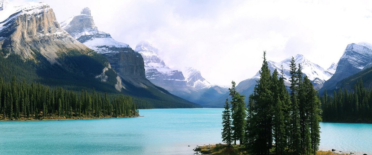 Emerald lake surrounded by pine trees in the Canadian Rockies